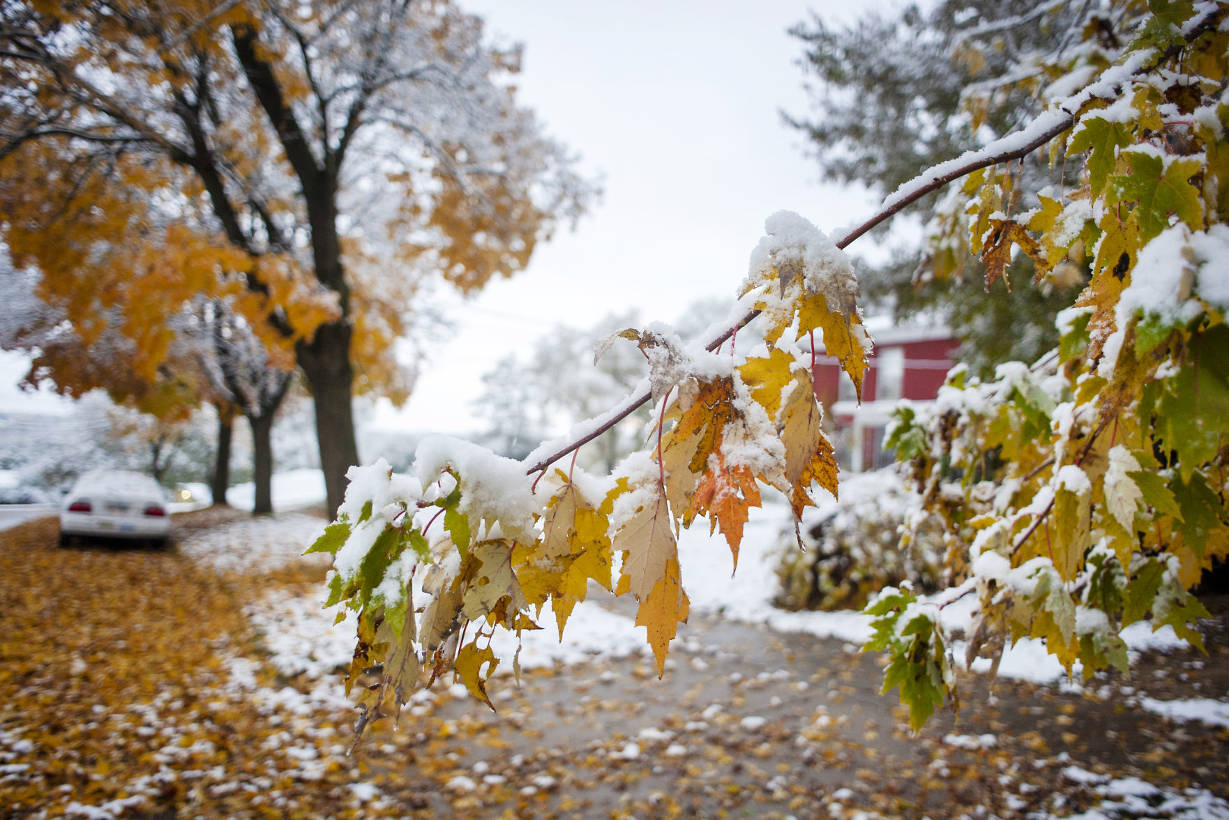 191030_SNOW04